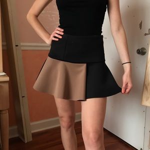 Zara Colorblock Skirt